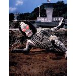 さっちゃん(さっちゃん)