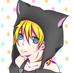 ぐすたふかーる