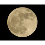 ミンたーーーーーーーん