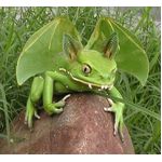 Hybrid frogs
