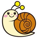 カズト・マツザキ