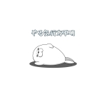 紫杏♀（すなばあざらし）