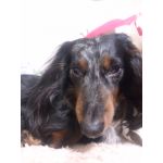 メロンソーダ71