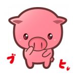 きっちゃん（家畜）