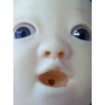 U・∞・U＜福島犬。