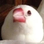 ヽ(￫㉨ˇ￩๑)ﾉ