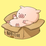 豚BOX