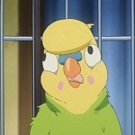 プロテイン鍋