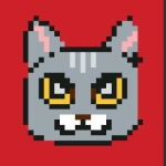 まりんきゃっとо