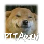 PITApuchi