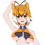 りんら