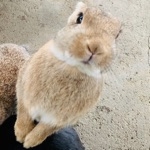 くもき