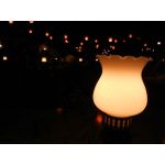 かまってちやん