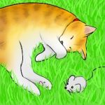 オルカ＠シャチ