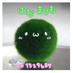 ˚ʚ(鞠・ω・萌)ɞ˚˙