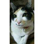 腐ったあんぱん