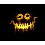 由宇梨(＊ ´  Å` )