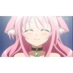 ミルフィオーレ