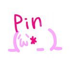pin_(´ω｀*_　)_