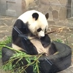 こんぶ（昆布）