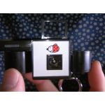 てんとう虫(✿◕‿◕)