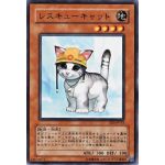 猫禁止乙（捨てID）