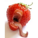 皐月～サツキ～