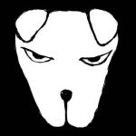 怪盗きらめき温泉