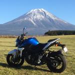 ちりめん（猫）