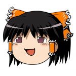 ［投稿用］みかんの人