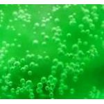 なちょす＠デスボ練習中