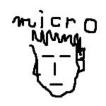 micro switoo