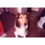 しんちゃその揺れかた