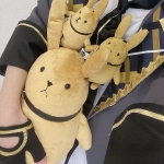 とたちゃん
