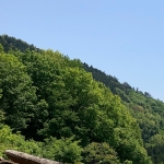 昔々の今日の理美