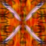 きゅうりを欲す