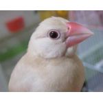 １２３４５６７８９