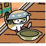 鍋猫