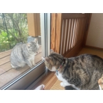 userPhoto