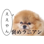 サラブレッド田辺