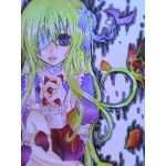 愛音莉姫-(ﾉ)ω(ヾ)-