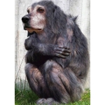 ゴミ バージョン1.0