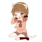 ちゃん(´･ω･｀)