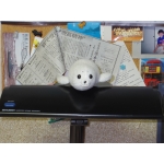 雨ざらしの海豹