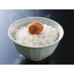 MESHI38