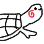 カメコ(๑´ㅂ`๑)