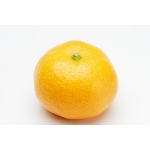 みかん