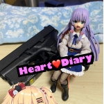 Heart diary