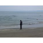 橙ｄａｉｄａｉ