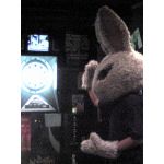 きよ